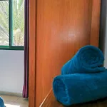 La Playa Apartment (San Valentin)